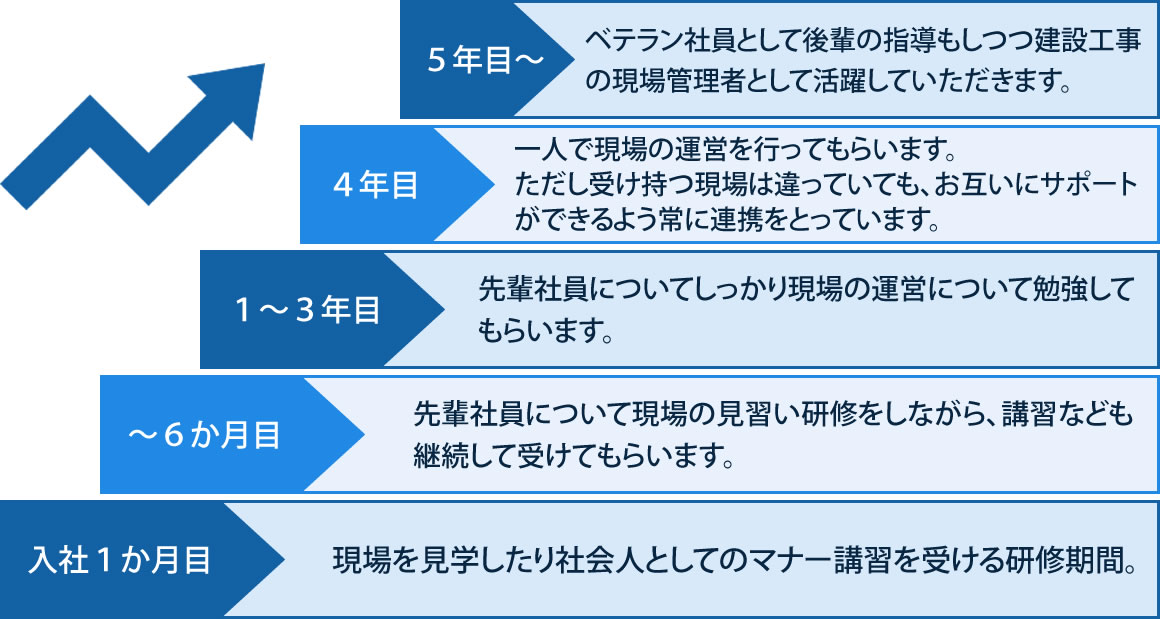 入社~5年目以降のキャリアプラン